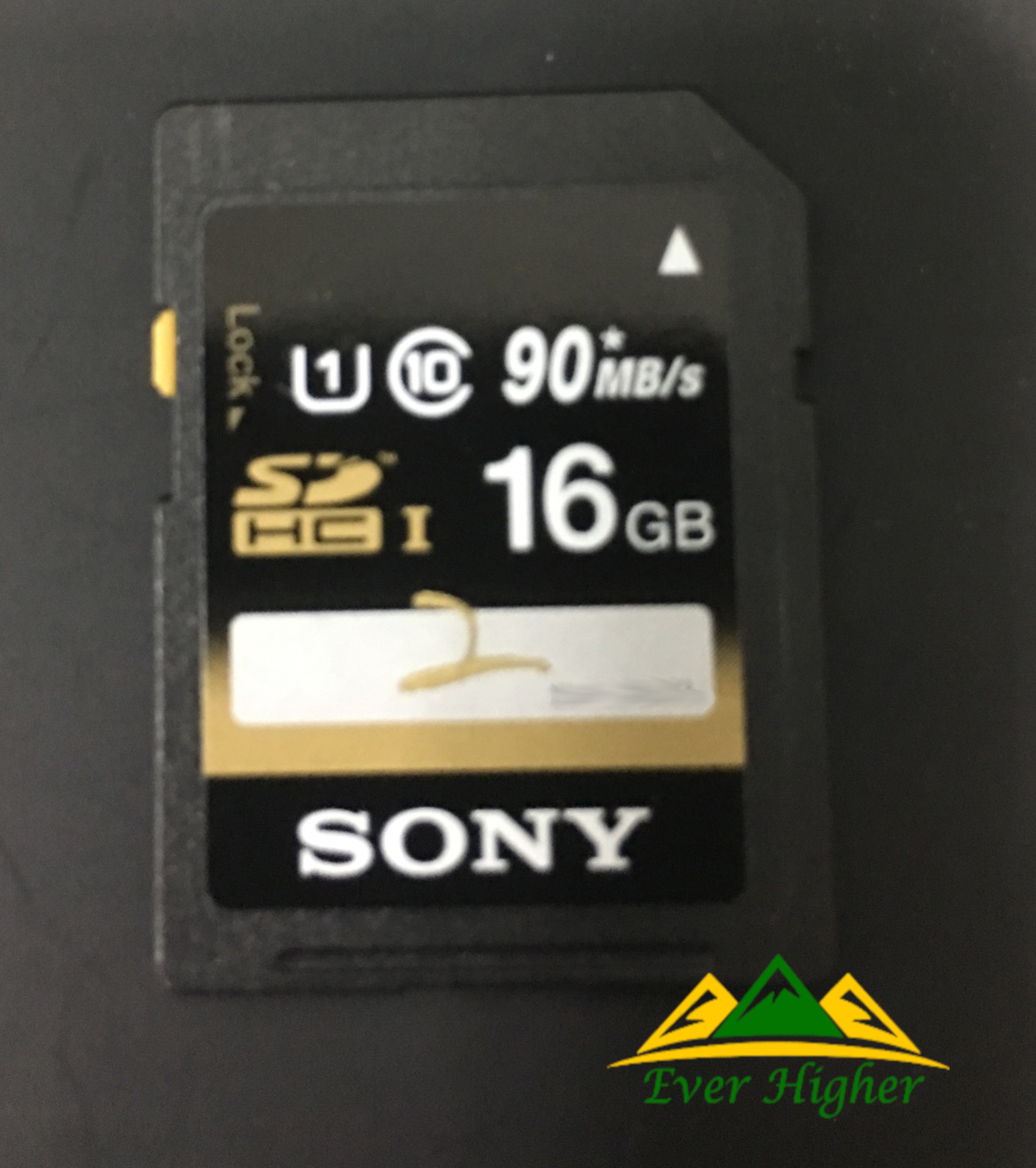 Sony 16GB SD Card Data Recovery Service