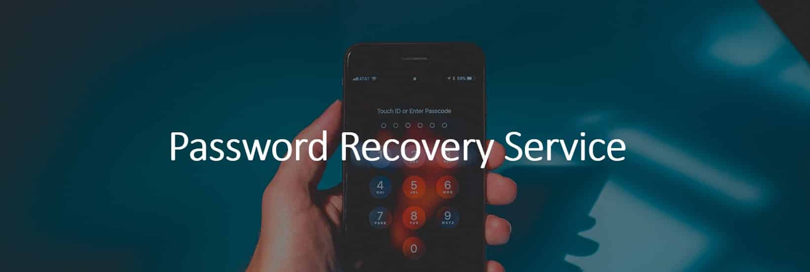 Password Recovery Service